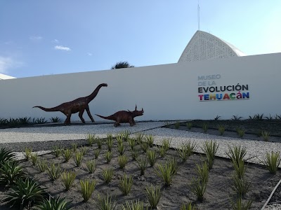 Photos of Museum of Evolution Tehuacan