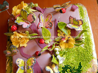 Tort cu fluturi/Butterfly cake