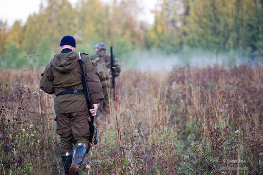 Открытие охоты 