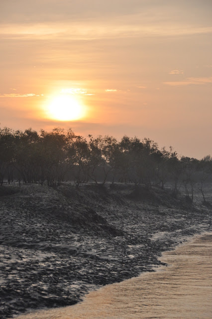 Sundarbans y Bangalore (5-7 de diciembre de 2010) - Infierno Y Paraíso, India Y Maldivas (2010) (6)