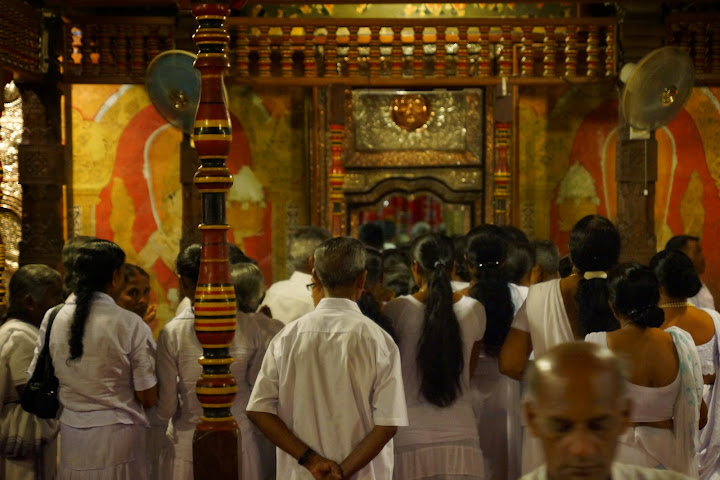 Шри-Ланка: на машине 1 100 км,  фото без комментариев, март-апрель 2013г.