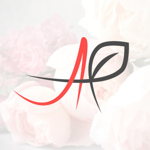 AP Beauty Studio by Anna Pshonkina logo