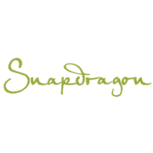 Snapdragon Salon logo