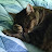 Patty L avatar image