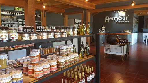 BerrySur, KM. 3,5 Ruta Villarrica - Freire, Villarrica, IX Región, Chile, Tienda de alimentos | Araucanía