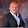 Andrei Lopatenko Andrei Lopatenko's profile photo