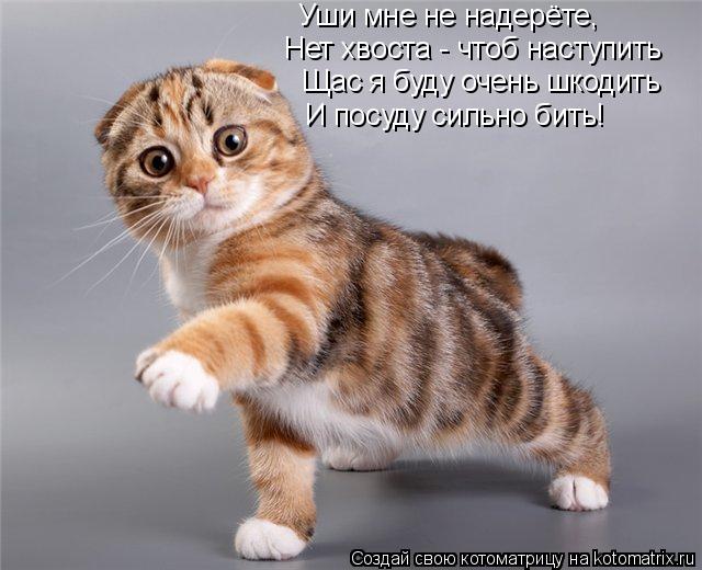 Ни дня без улыбки. Здоровый пессимизм... Ни дня без улыбки. Здоровый пессимизм...