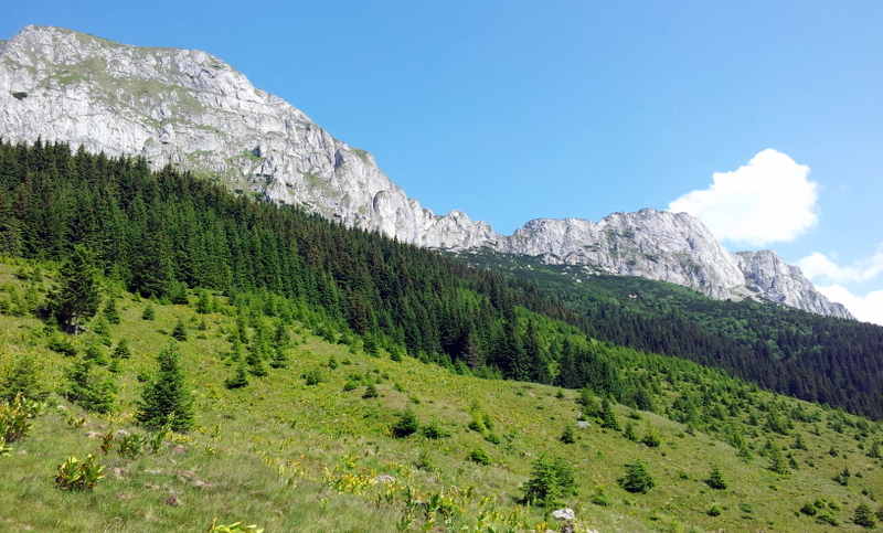 Zona preferata de mine din Bucegi