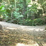 Timber fence by bridge over Rain Forest Creek in Blackbutt Reserve (399793)