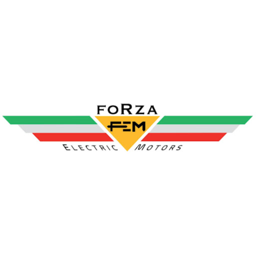 Forza Electric Motors AG I Elektroroller I Offizieller Importeur seit 2016 logo