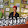 Natasha Paul Natasha Paul's profile photo