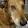 K Suz K Suz's profile photo