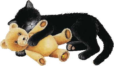 gatopreto.gif