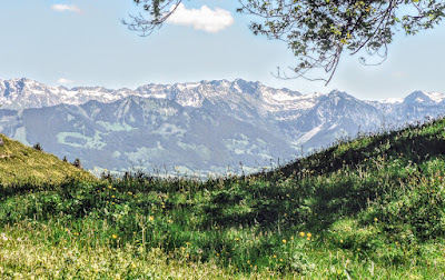 Steineberg - Wandern von Gunzesried, Blaichach, Allgäu im Naturpark Nagelfluhkette