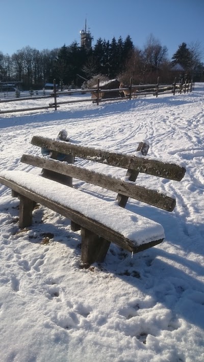 Photos of Wildlife park and Greifvogelzoo Potzberg