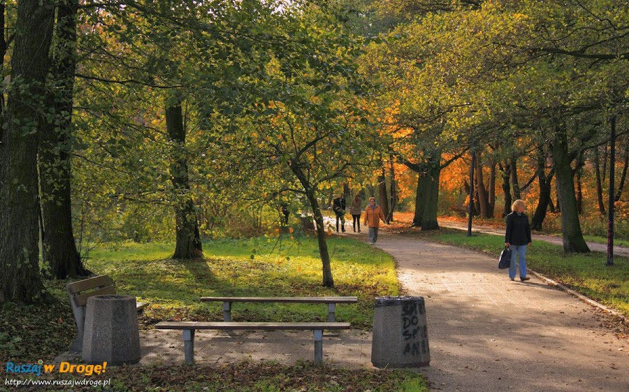 Park Reagana w Gdańsku - świetne miejsce na spacer
