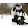 Kirsten Swiggum Kirsten Swiggum's profile photo