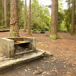 Fireplace in the pines camping ground in the Watagans (320612)