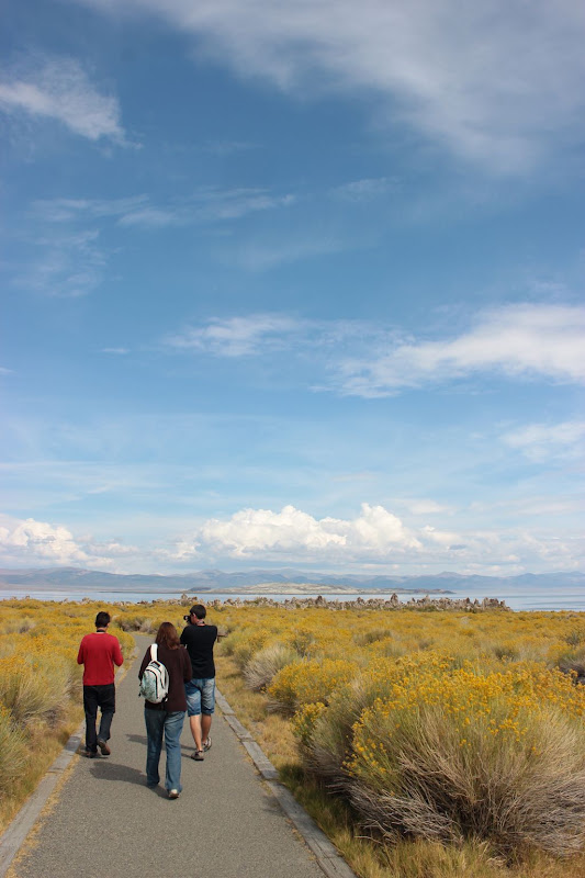 Día 11 - Bishop, Mono Lake y Yosemite - De Mallorca a la Costa Oeste de EEUU (5)