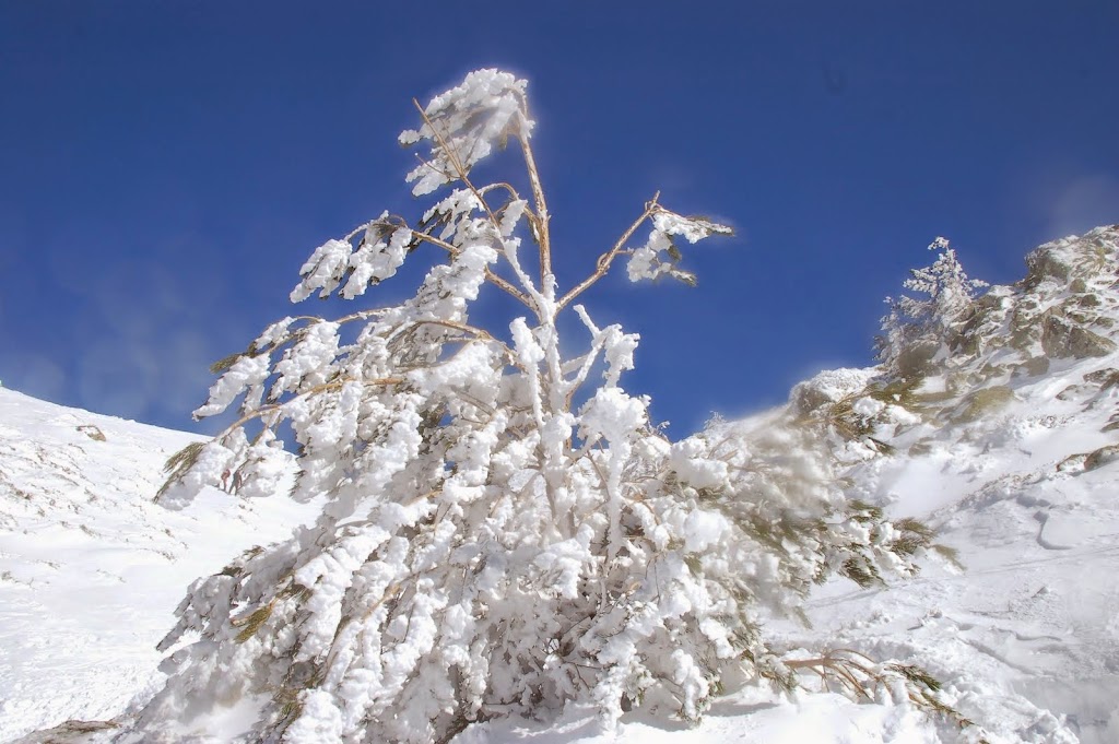 DSC_8409.JPG