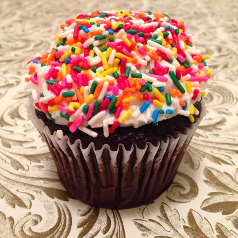 chocolate cupcake with sprinkles