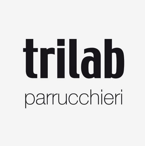 Trilab presso Venezia logo