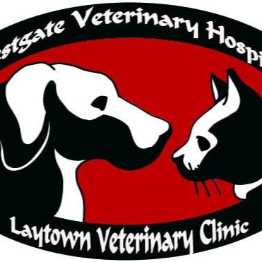 Laytown Veterinary Clinic logo
