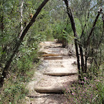 Log steps up to Pennant Hills (77857)