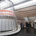 California Design - LACMA's contribution to the Pacific Standard Time mega exhibit