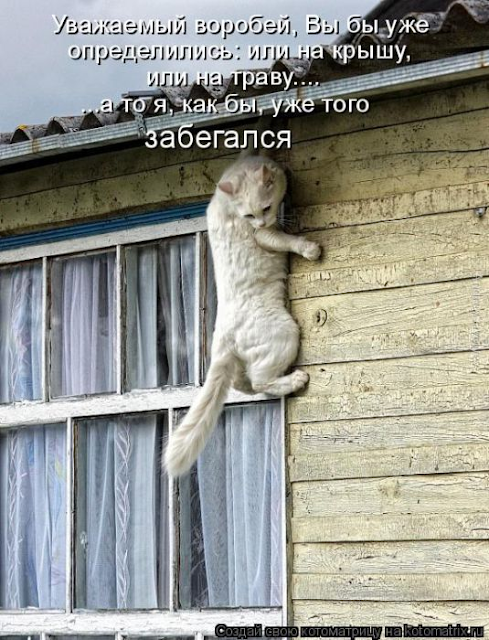 Ни дня без улыбки. Жизнь - странная штука, она вроде бы с каждым вновь прожитым днем становится все длиннее и одновременно - короче... Ни дня без улыбки. Жизнь - странная штука, она вроде бы с каждым вновь прожитым днем становится все длиннее и одновременно - короче...