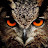 Jason Reysan avatar image