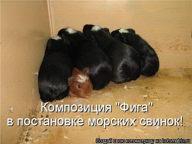 Ни дня без улыбки. Незваный гость… Ни дня без улыбки. Незваный гость…