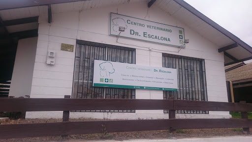 Centro Veterinario Dr Escalona, Gabriel González Videla 2076, La Serena, Región de Coquimbo, Chile, Cuidado veterinario | Coquimbo