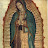 lsn flores avatar image