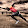 Roozbeh Sol Roozbeh Sol's profile photo