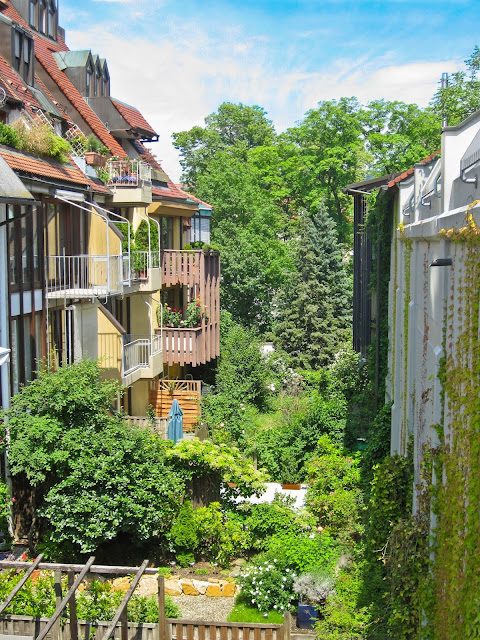 Grünes Freiburg