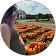 Autumn M. Autumn M.