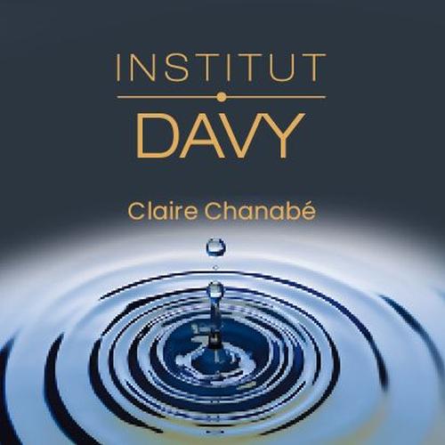 Institut Davy logo