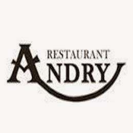 Andry logo