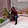 Damion Stanley Damion Stanley's profile photo