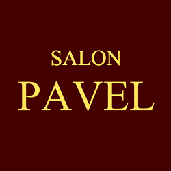 Salon Pavel logo
