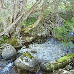 Passing the creek near the wedge (274427)