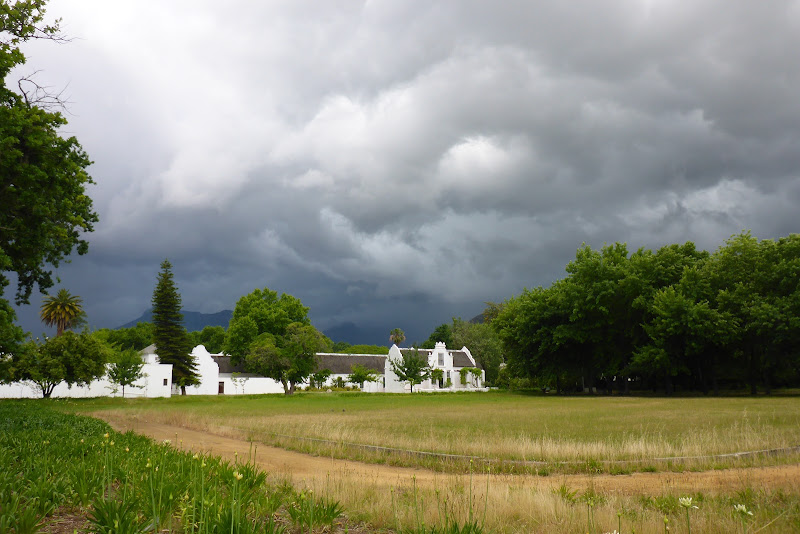 2014110249stellenbosch.JPG