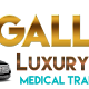 Gallant Luxury Service (Your Non Emergency Medical Transportation)