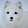Triona le Fox Triona le Fox's profile photo