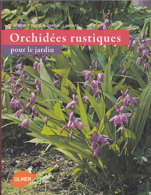 Orchidées rustiques pour le jardin Sc0000