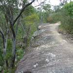 Walking along a rock platform west of Hornsby Heights (328256)