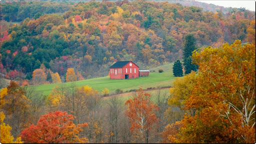 Autumn Harvest, Ohio.jpg
