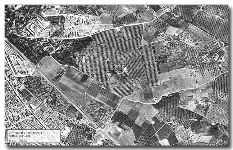 Vista aérea de Dos Hermanas año 1956