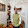 aniruddh nain aniruddh nain's profile photo